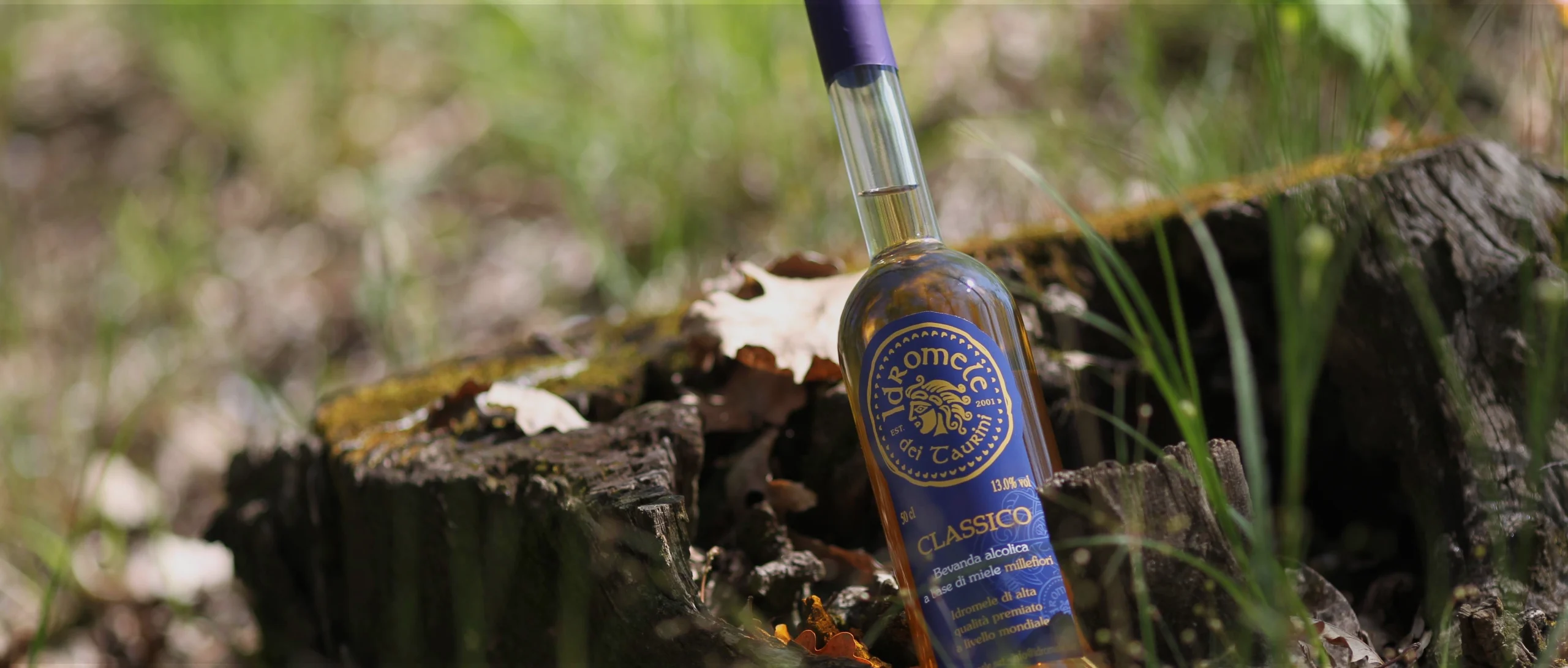 Bottiglia di Idromele dei Taurini Classico