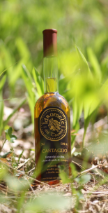 Bottiglia di Idromele dei Taurini al Castagno