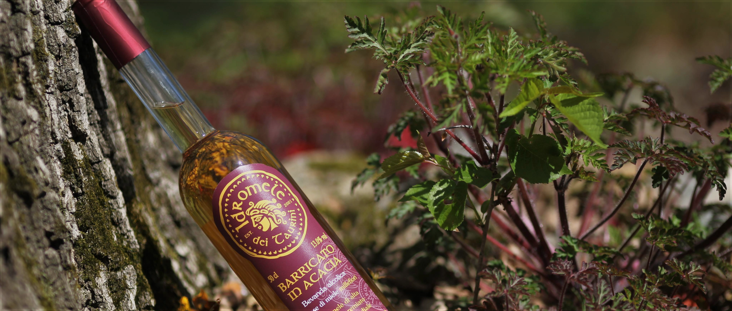 Bottiglia di Idromele dei Taurini Barricato in Acacia