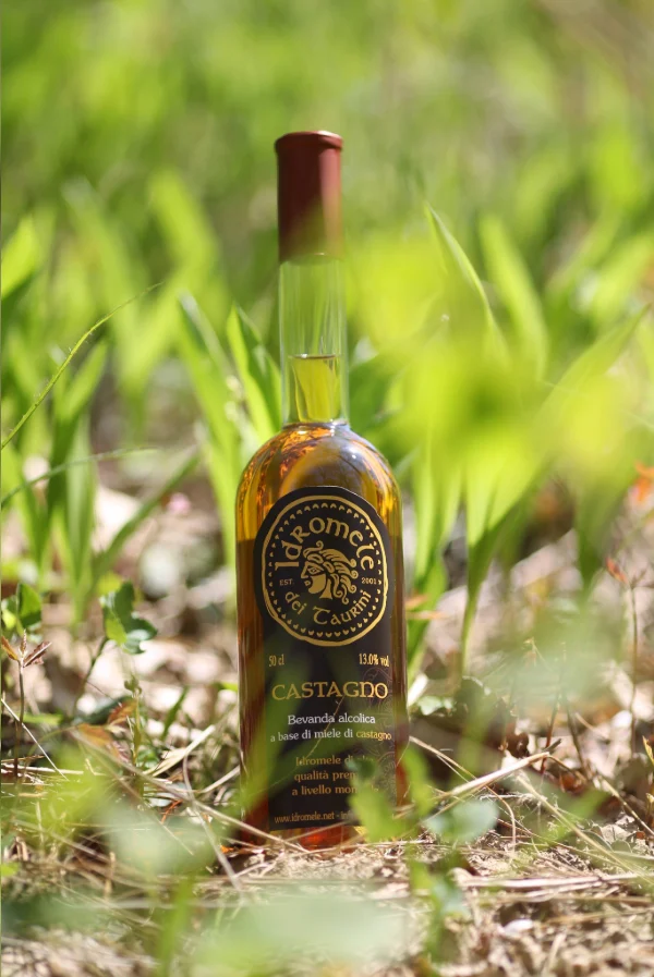 Bottiglia di Idromele dei Taurini al Castagno