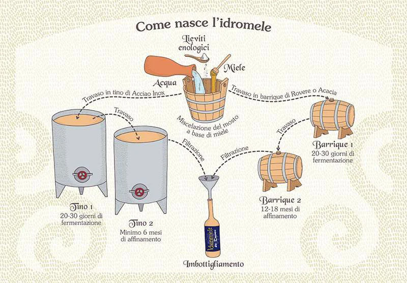 Schema delle fasi di produzione e fermentazione dell’idromele Schema delle fasi di produzione e fermentazione dell'idromele
