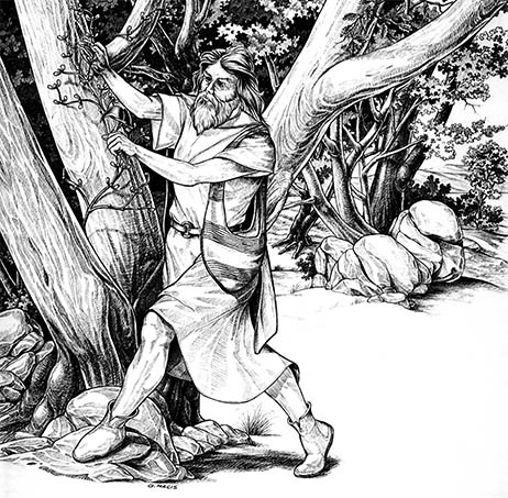 Calderone di Hochdorf, reperto archeologico con tracce di idromele Calderone di Hochdorf, reperto archeologico con tracce di idromele