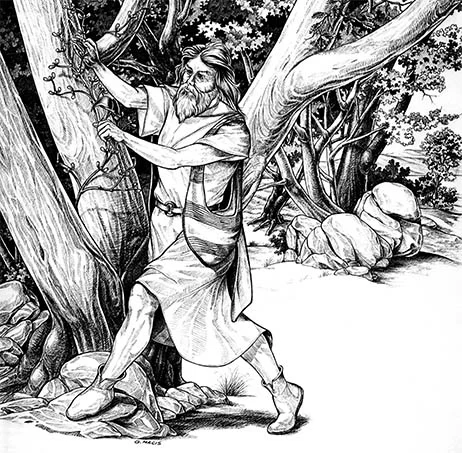 Calderone di Hochdorf, reperto archeologico con tracce di idromele Calderone di Hochdorf, reperto archeologico con tracce di idromele