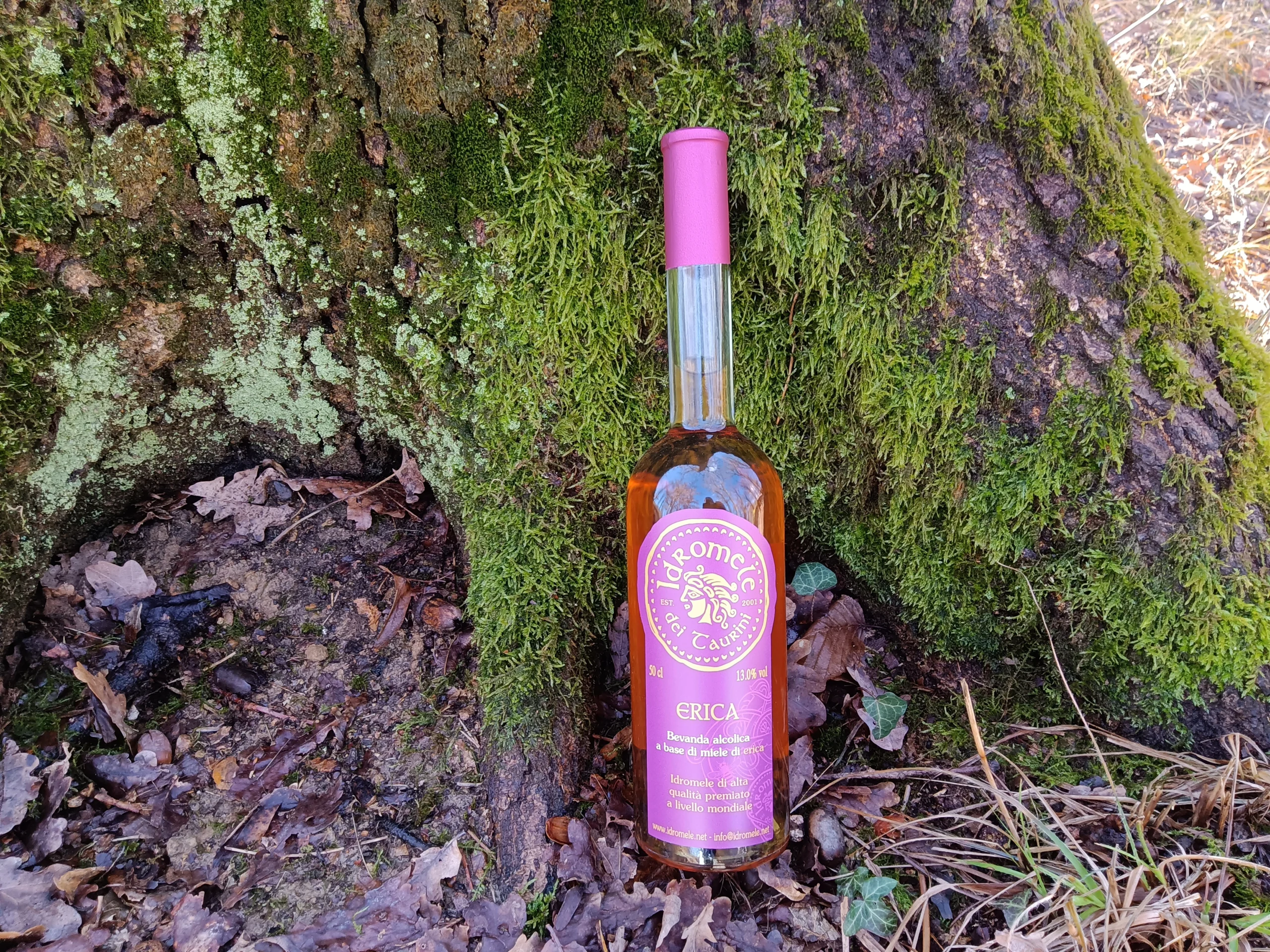Bottiglia di Idromele di Erica con etichetta viola accesa, posizionata in un bosco tra foglie secche e muschio, evidenziando il colore ambrato della bevanda.