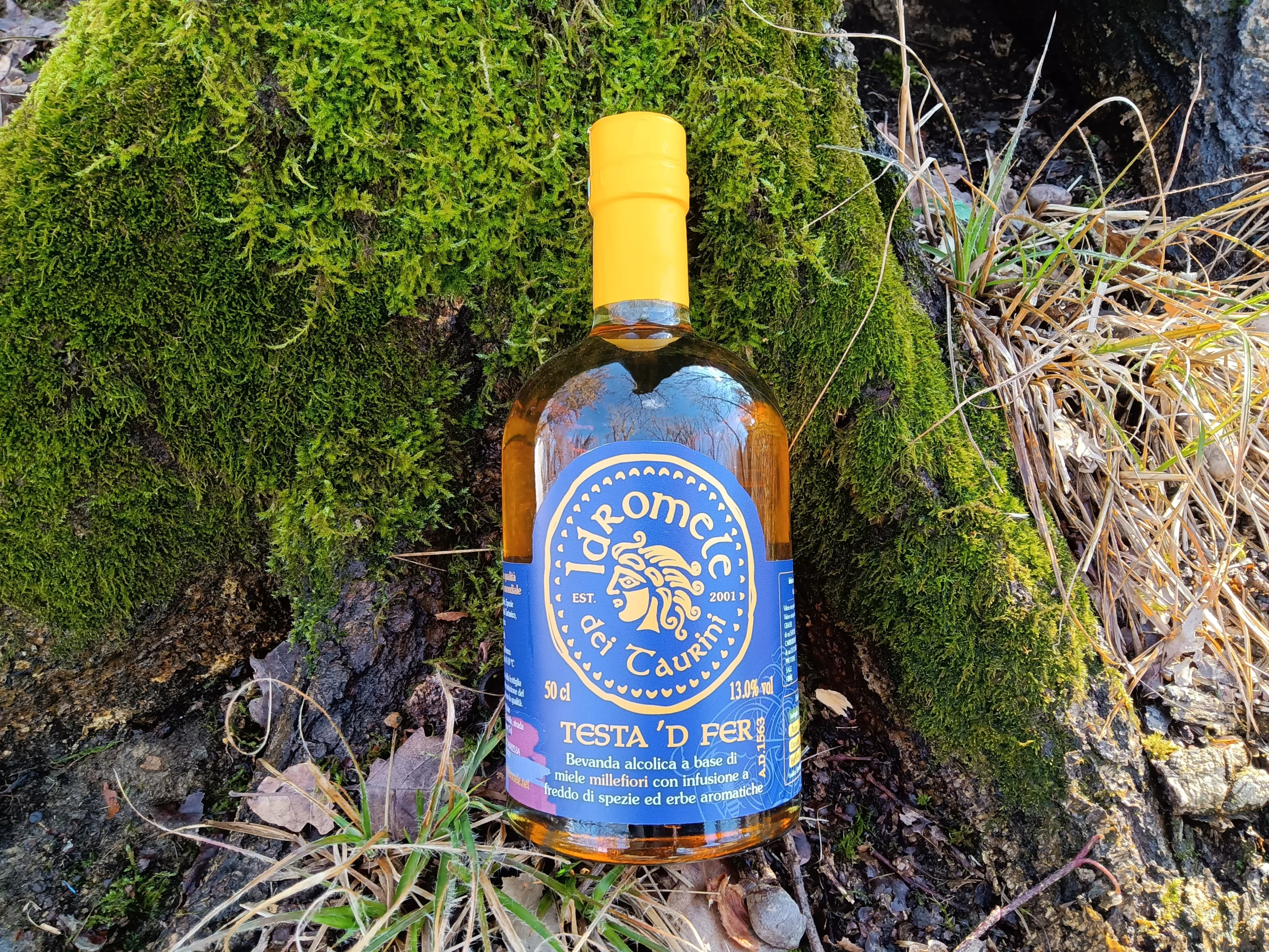 Primo piano della bottiglia di Idromele Testa 'd Fer con etichetta blu e tappo giallo, incastonata tra le radici muschiose di un grande albero.